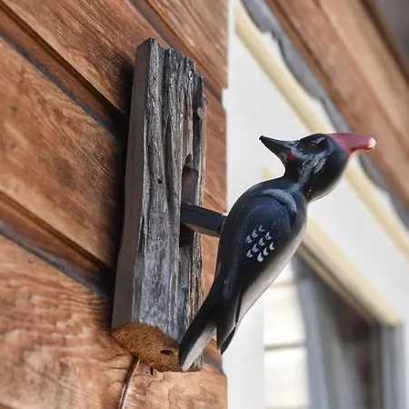De Kleine Bonte Specht Schoorl